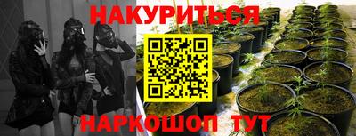 PSILOCYBIN Бузулук