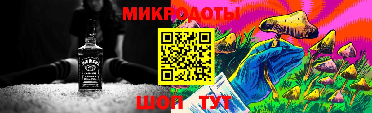 Хасавюрт  Псилоцибиновые грибы мицелий  Вход с VPN 